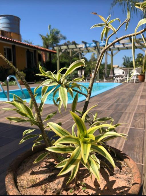 Pousada Sol Do Rosa Praia do Rosa Ngoại thất bức ảnh