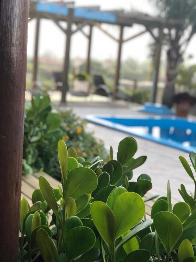 Pousada Sol Do Rosa Praia do Rosa Ngoại thất bức ảnh